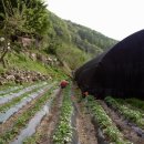 서우재마을 이미지