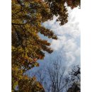 윤후동물병원 이미지