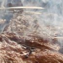 유성대로(유성-33) 이미지