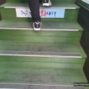 바다회 이미지