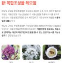 애터미 헤모힘, 면역력을 챙기고 싶다면 지금!