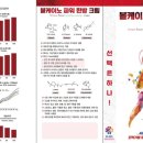 뷰티코리아 이미지