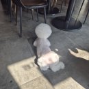 모짜렐라분식 | 동탄 11자상가 분식 맛집 추천 스쿨푸드 차돌떡볶이 모짜렐라스페셜 김밥 후기