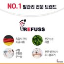 레푸스 정자점 이미지