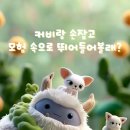 커비동물병원 이미지