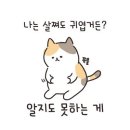 토마토치과 이미지