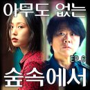 숲속의이야기