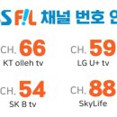 오늘 저녁 8시 본방사수 채널참고 이미지