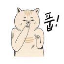 커브스형곡클럽 이미지
