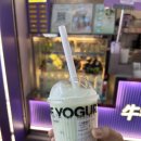 소(牛)규모 | 대표 요거트 음료 맛집 <한마리산유우(一只酸奶牛)>｜샤오홍슈 대세 신메뉴 오녹산유자미로 완전 분석