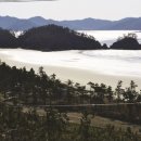 임자 화산단 네이버블로그