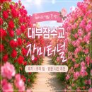 장미3단지경로당 | 대부잠수교 장미터널 후기 주차 팁부터 방문 시간 추천 대구 근교 경산 꽃 명소