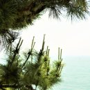 청사포정거장 이미지