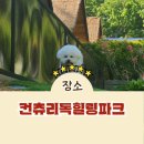 힐링독 반려견센터 | 경기도 용인 컨츄리독 힐링파크: 정말 힐링하고 싶은 강아지 운동장 카페 찾는다면 이곳 추천!