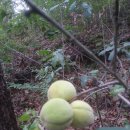 월경과 혼재 이미지