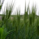 은빛모텔 이미지