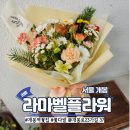 라마벨플라워 이미지