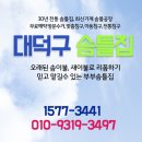 대덕솜이불 이미지