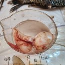 위 플레이 | [구미 위플레이] 2025 붕어 해부 실험 특강 후기 🐟