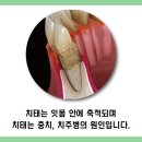 태경치과의원 이미지