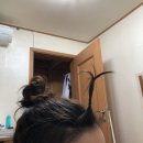 NR-43[포은대로]-하-20 | 역시 일상 글 낋여오는 게 제일 재밌다더라 ~ 울타리곱창 먹고 윤숲 재방문(내가 간 건 아님), 먹고...