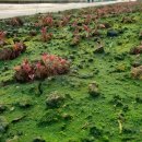 삼싹농장 이미지