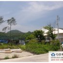 평송단월주유소 이미지