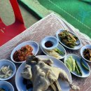 숲속향기 | 담양 계곡 맛집 숲속의향기에서 인생 닭백숙을