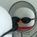 강단푸드 이미지