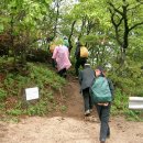 우두령민박 이미지