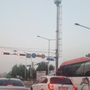 매직닭스