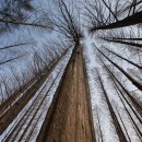 한솔환경산업(주) 이미지