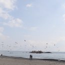 바다,달다 이미지