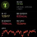 서운간이실내체육관 이미지