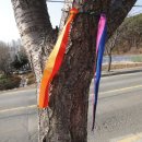 원죽1마을회관 이미지