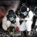 경주여인숙 이미지