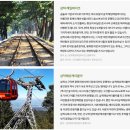 정원펜션 | 삼척독채펜션 삼척애견동반펜션 찾는다면🌳 '녹색정원펜션'추천