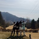 그린밸리 | 봄 라운딩 시작 가평 프리스틴밸리 CC 후기 | 날씨, 그린스피드, 클하맛집까지