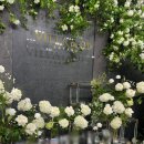 (주)지디온 | (웨딩홀 후기) 빌라드지디 안양 갤러리아홀 / 빌라드지디 안양 하객 후기