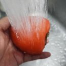 감은골 농장 이미지