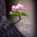 곧은 처지 앞에 이미지