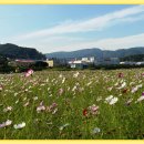 빗물펌프장옆 이미지