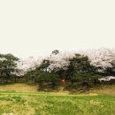 남서울사우나 이미지