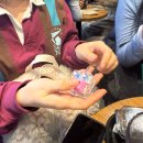 지희네펜션 | 12월 일상