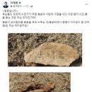 경북경찰, 이재명 부모 산소 훼손 내사 착수-연합뉴스 이미지
