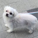 선암축산 이미지