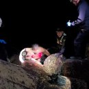 속초해안가 이미지