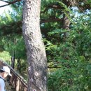 바위와 산성 이미지