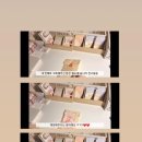 솜나라 이미지