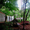 김삿갓초장 이미지